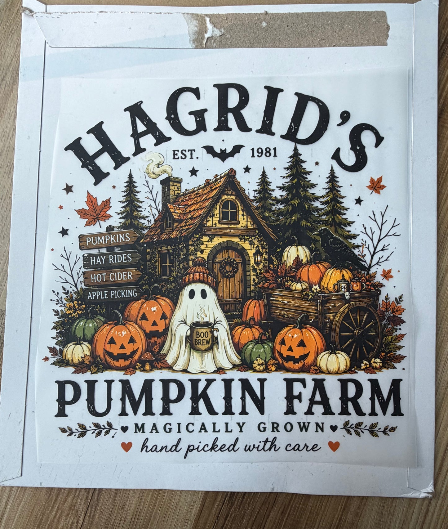 Pumpkin Patch